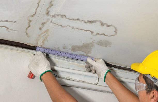Reliable Flood Cleanup contractor in Upper Sandusky, OH by Water Damage Irwin